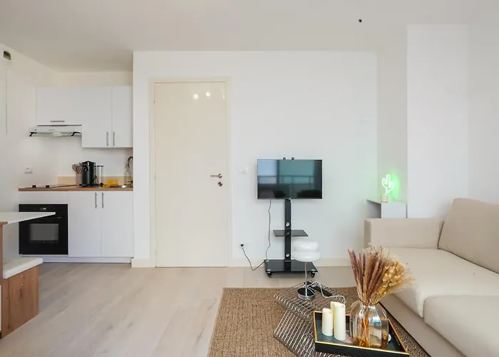 Magnifique Avec Terrasse A 2 Pas De Monaco * ボーソレイユ